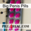 Big Penis Pills 09